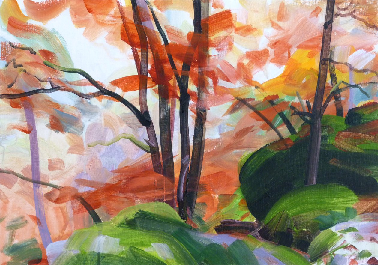 Forêt 34 de Olivier Morel