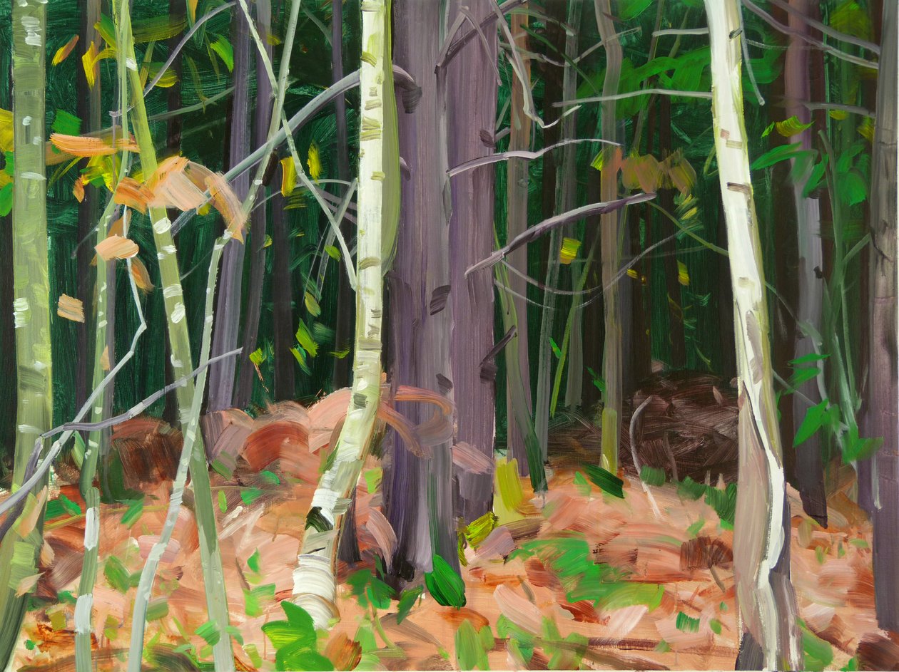 Forêt 7 de Olivier Morel