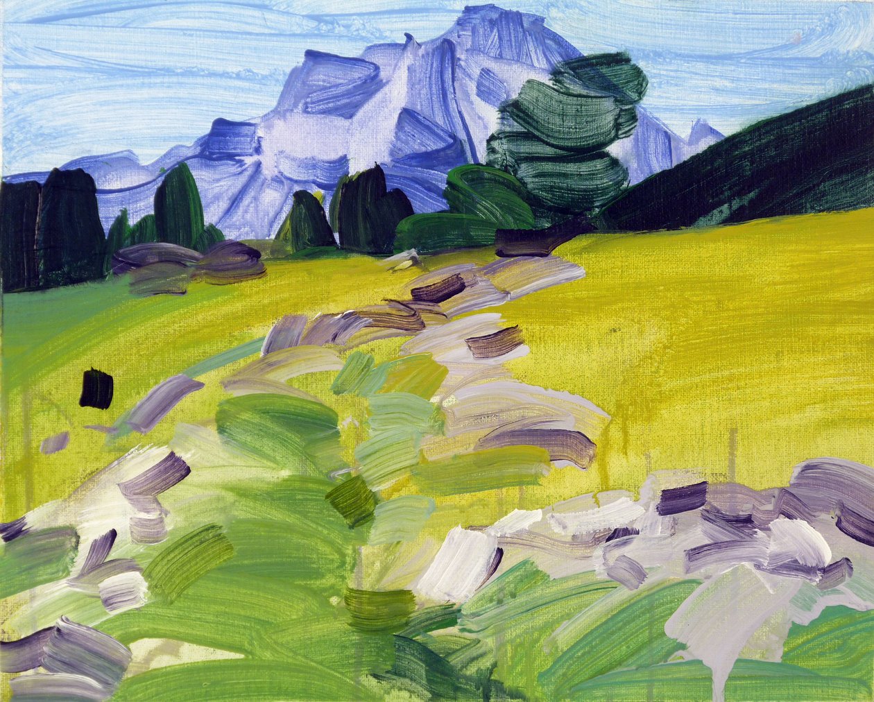 Leukerbad 36, 2017 (acrílico sobre lienzo) de Olivier Morel