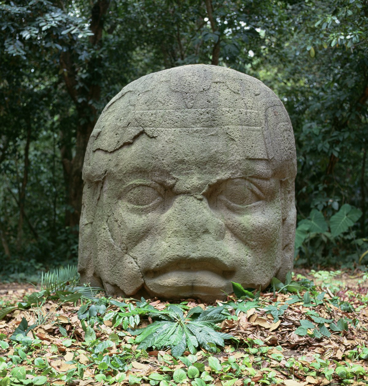 Cabeza colosal 4, período preclásico de Olmec