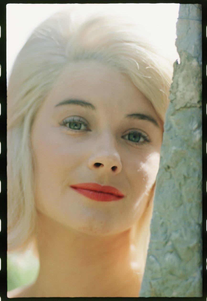 Primer plano de Hope Lange de Orlando Suero