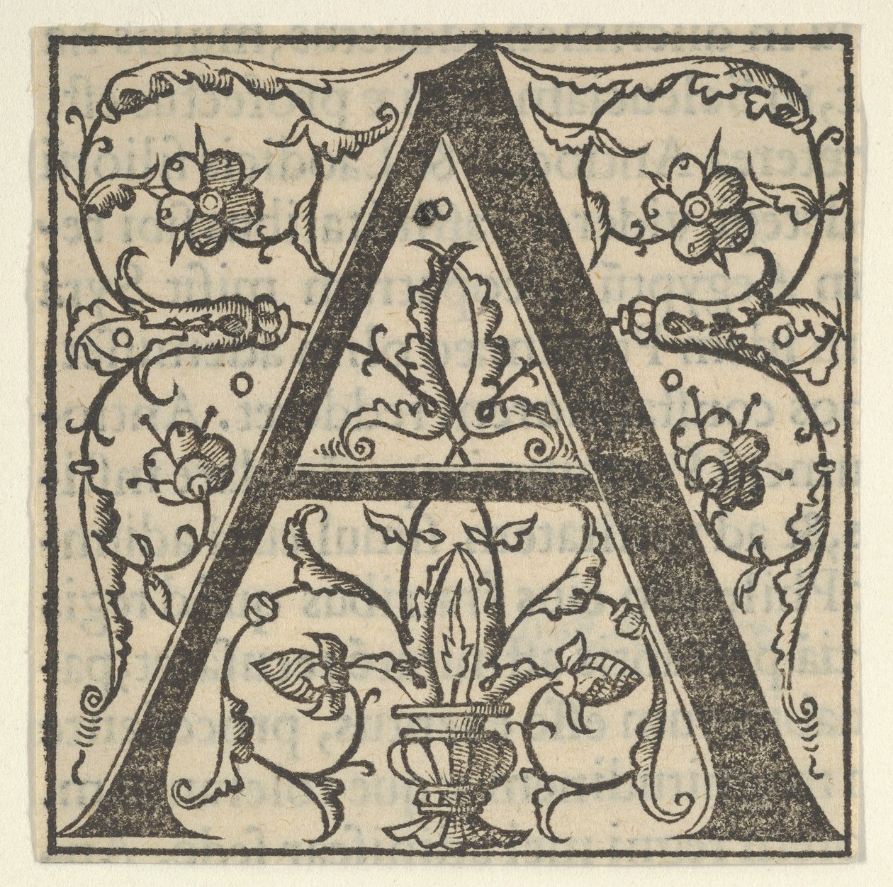 Letra inicial A con guirnaldas, mediados del siglo XVI de Oronce Fine