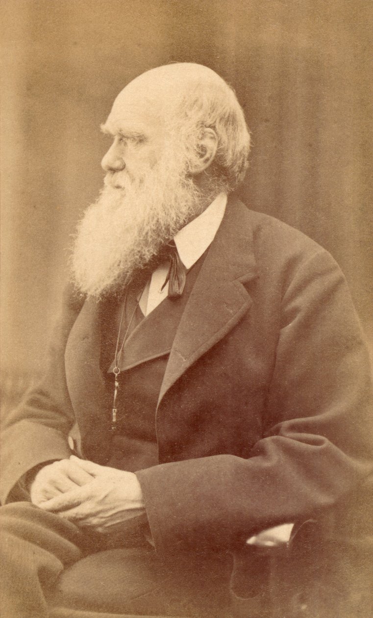 Retrato de Charles Darwin a los 72 años, c.1871 de Oscar Gustav Rejlander
