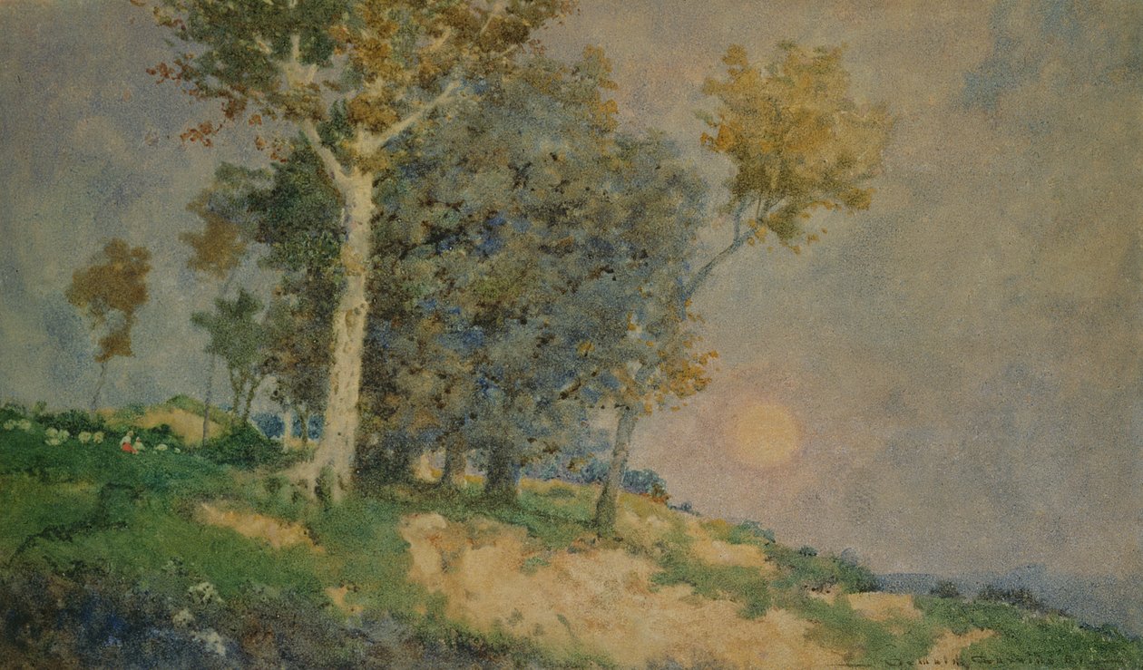 Un verano en los campos de Oswald Garside