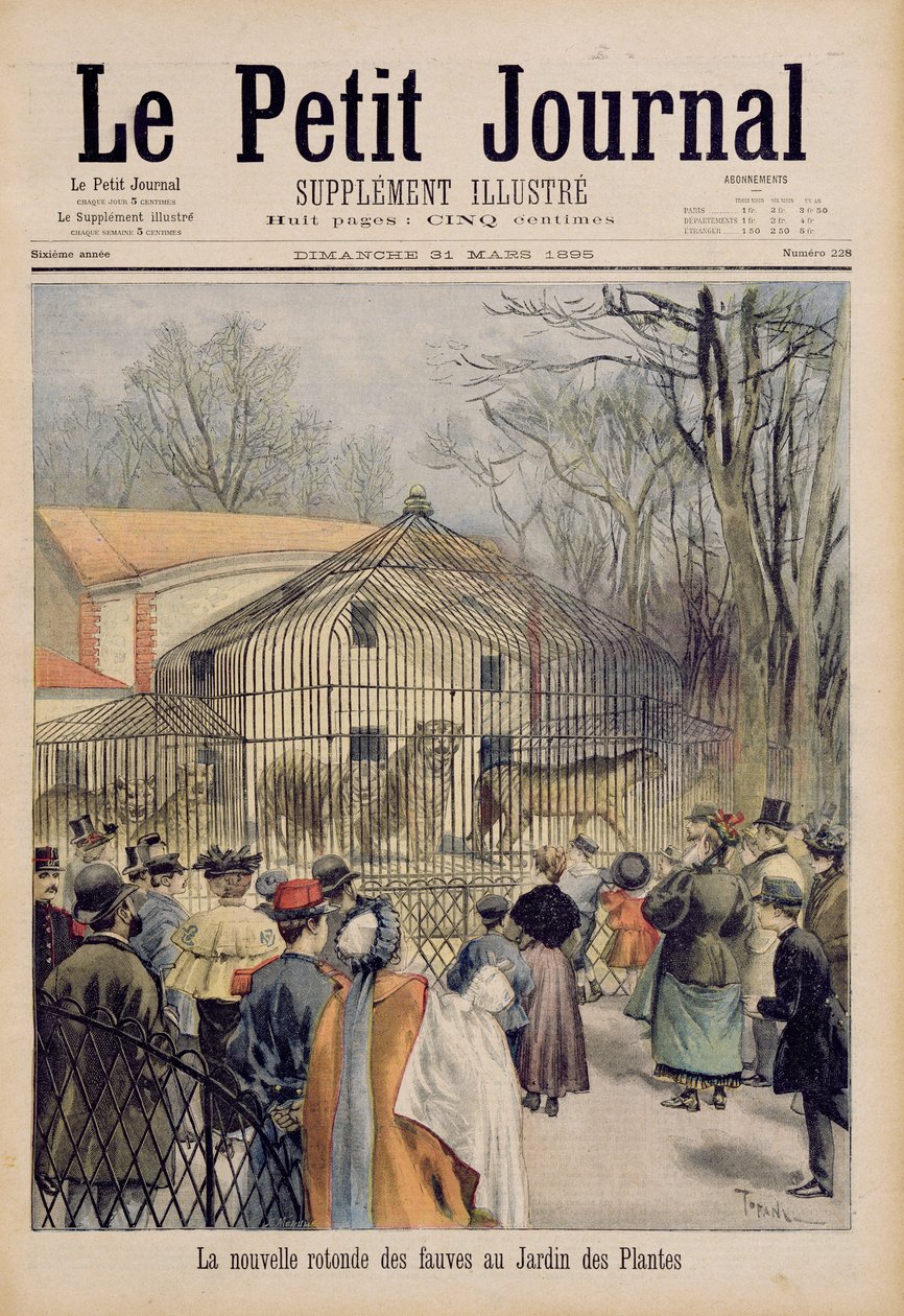 La nueva casa del gato montés en el Jardin des Plantes, de 