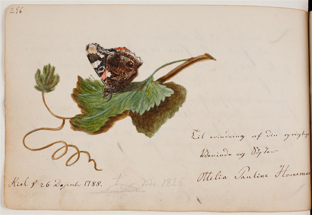 Mariposa en una hoja de Ottilie Pauline Horneman