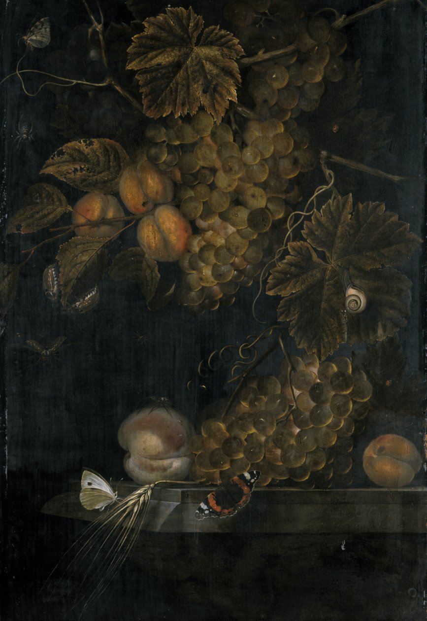 Naturaleza muerta con melocotones y uvas de Ottmar the Elder Elliger