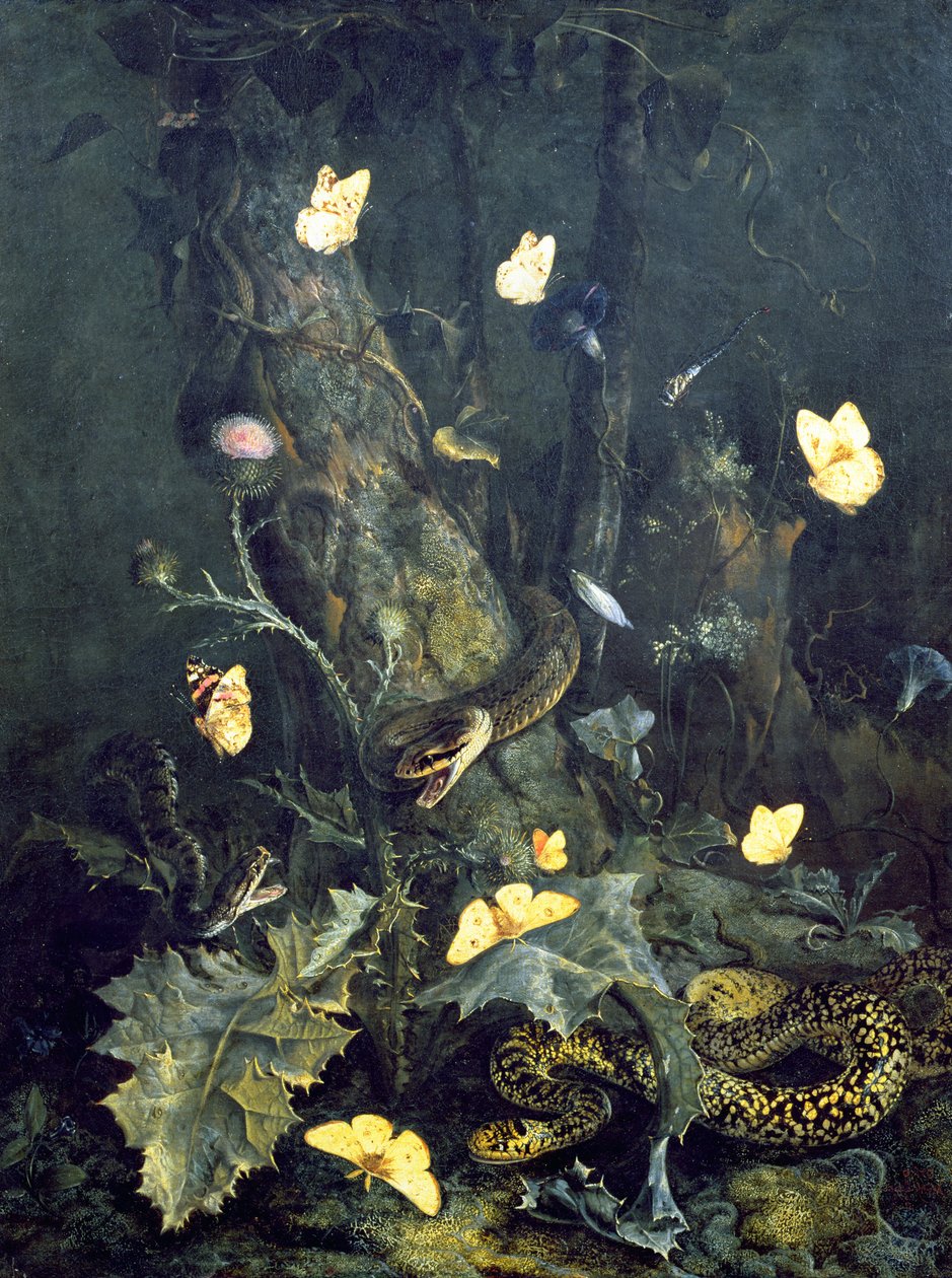 Serpientes y mariposas, 1670 de Otto Marseus  van Schrieck