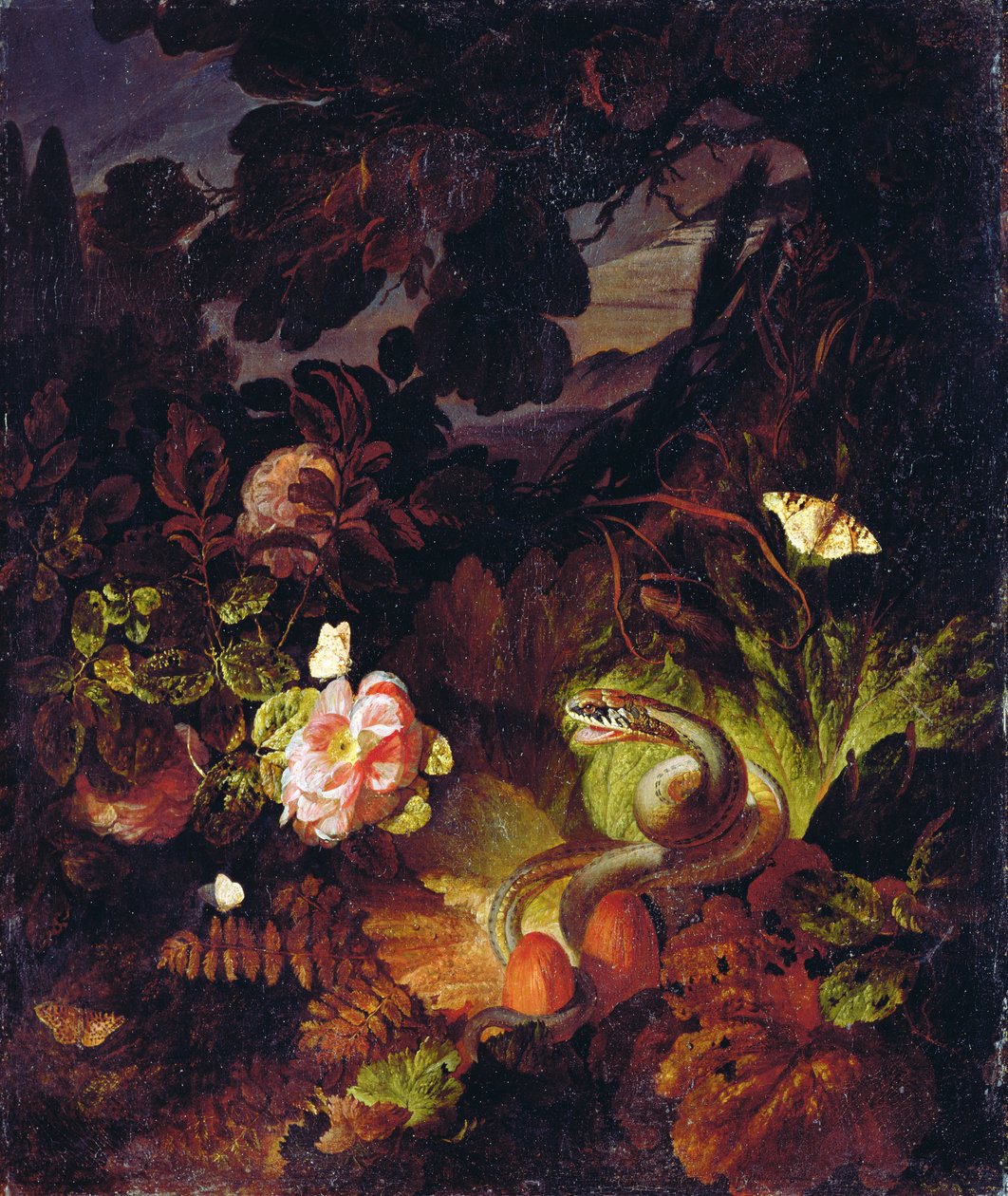 Flores, serpiente y mariposas de Otto Marseus  van Schrieck