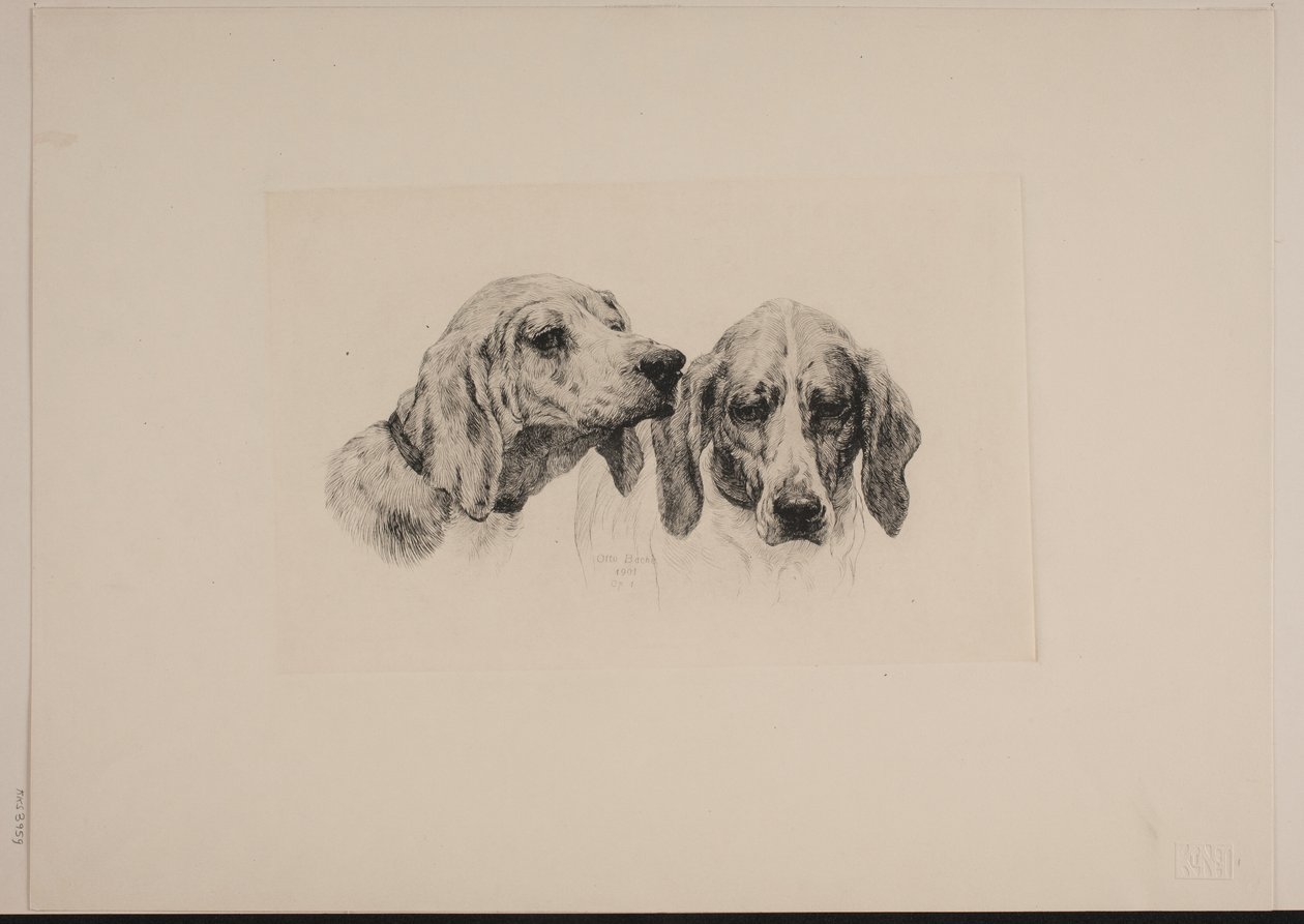 Danés: Dos cabezas de perro de Otto Bache