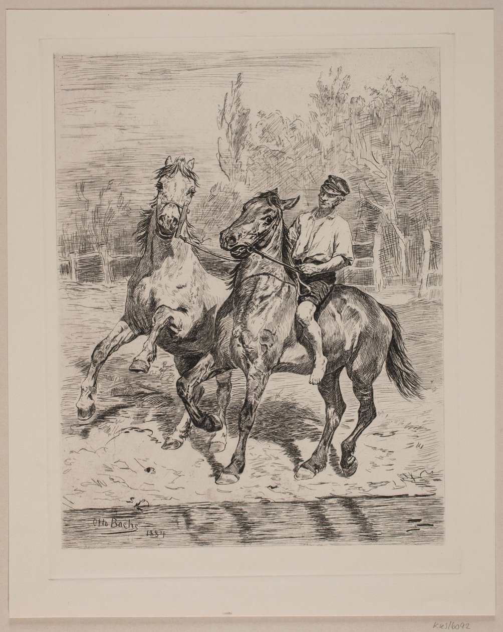 Los caballos beben agua de Otto Bache