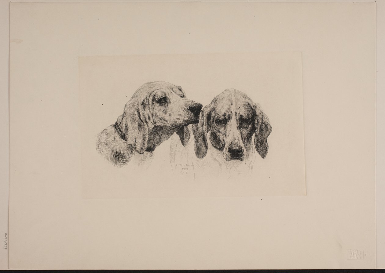 Dos cabezas de perro de Otto Bache