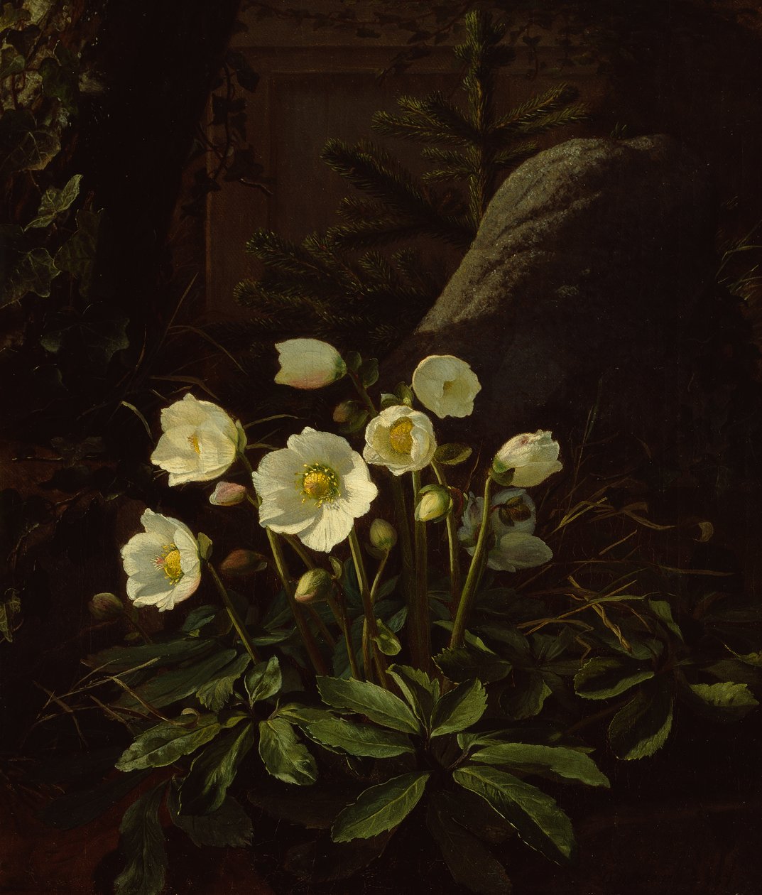 Eléboros en una rocalla (óleo sobre lienzo) de Otto Didrik Ottesen