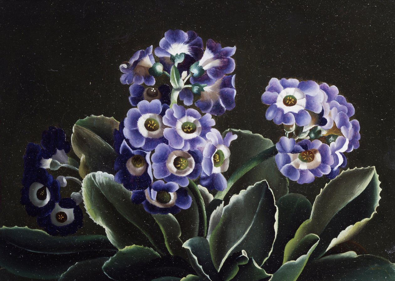 Naturaleza muerta de prímulas de Otto Didrik Ottesen