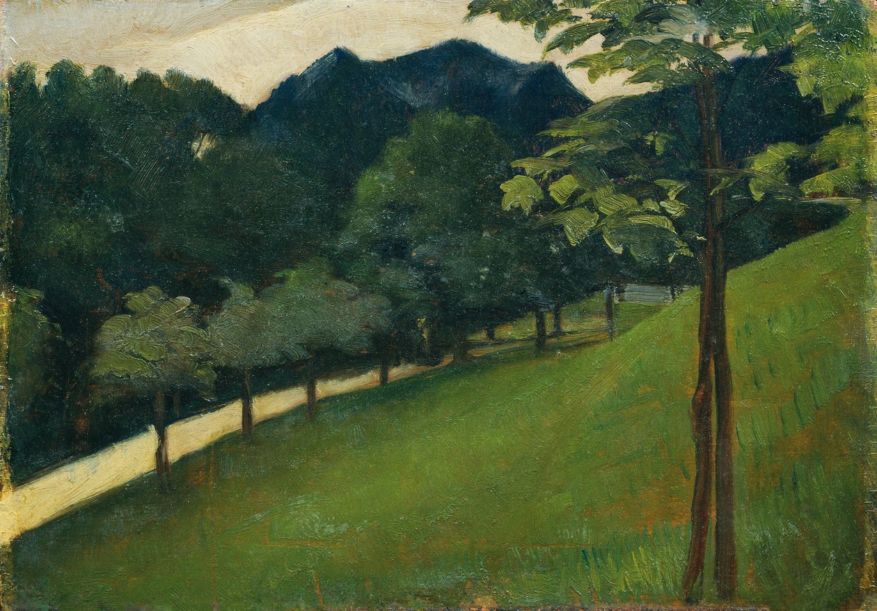 Vista desde una ladera verde hacia una avenida de Otto Friedrich