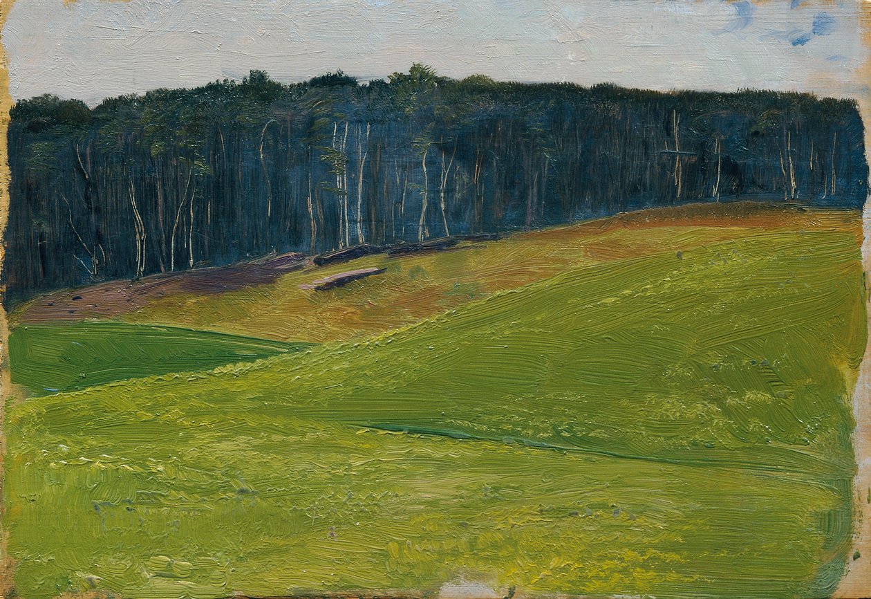 Prado verde claro contra bosque oscuro lisière de Otto Friedrich