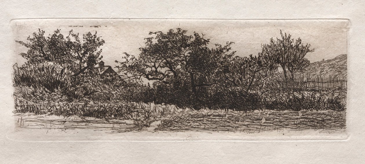 Techos y árboles de Otto H. Bacher