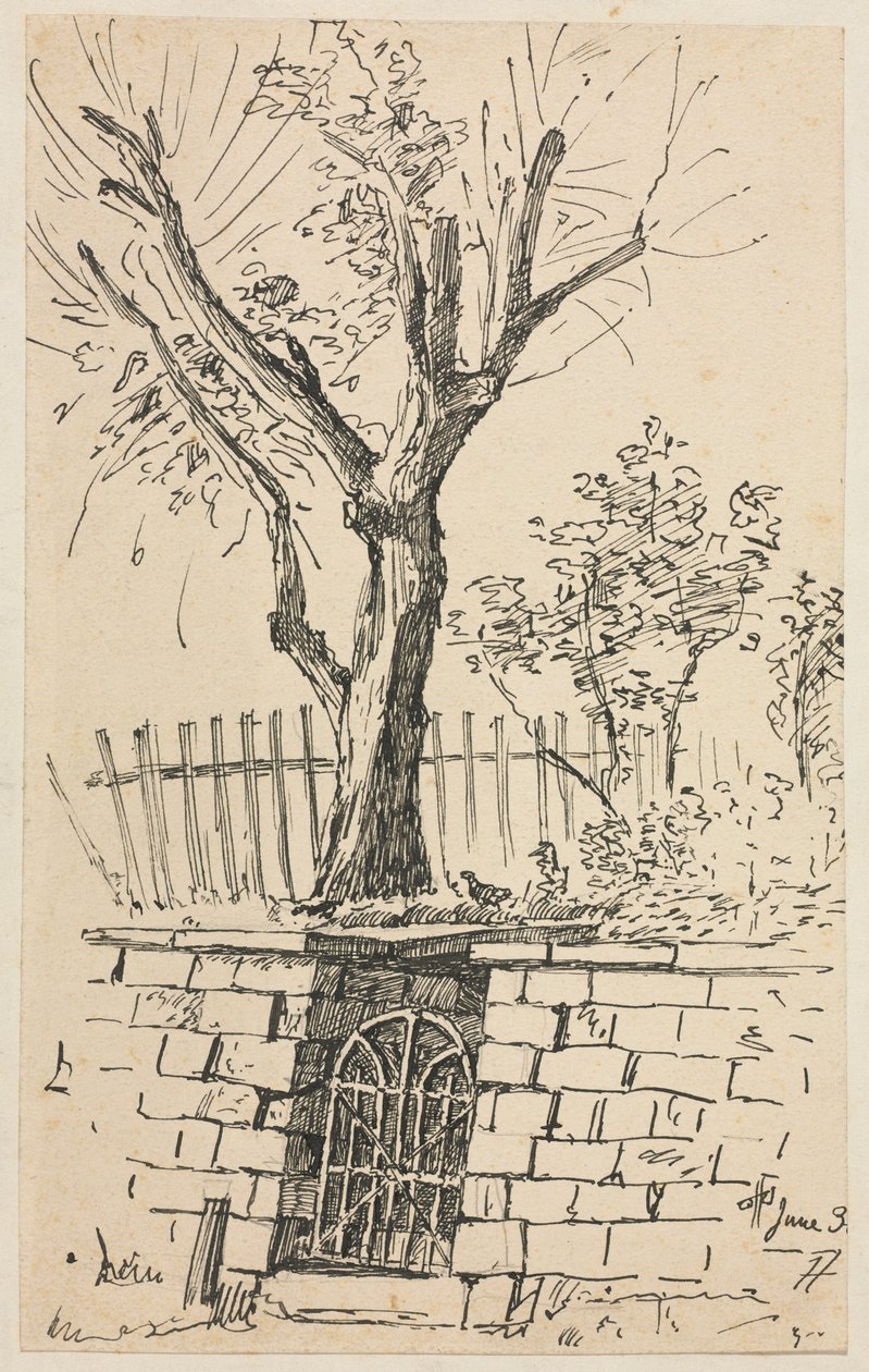 Árbol en la cima de un muro de piedra, Cleveland de Otto H. Bacher