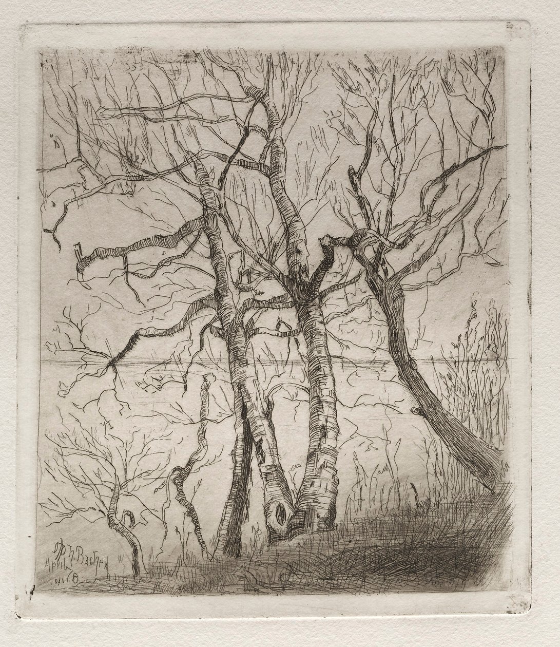 Bosques junto al lago, 1878. de Otto H. Bacher