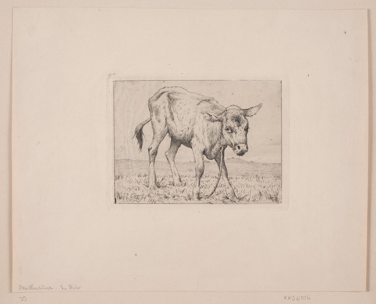 Un ternero de Otto Haslund