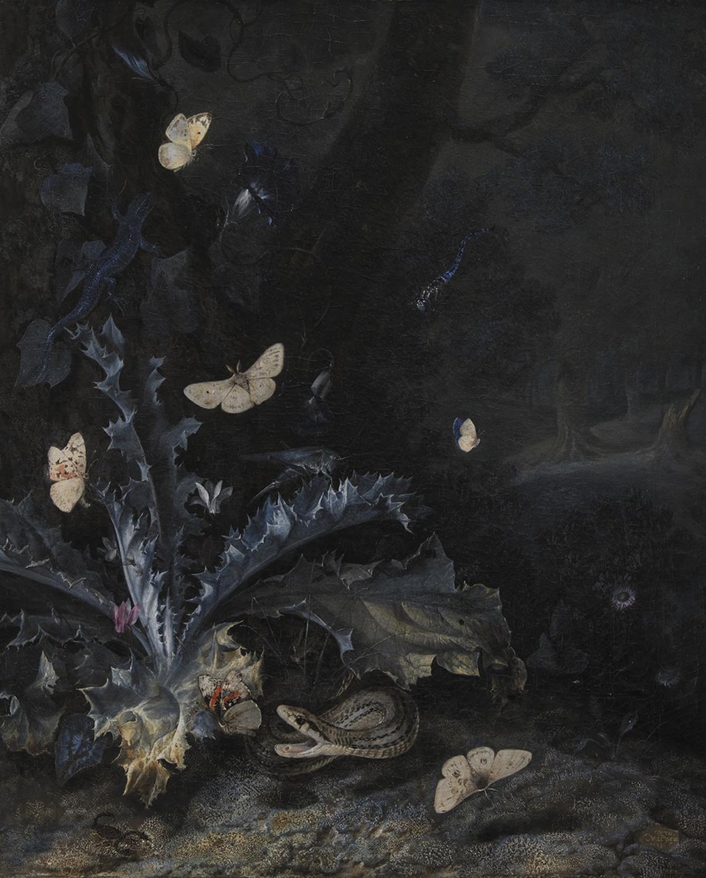 Naturaleza muerta con cardo y serpiente de Otto Marseus  van Schrieck