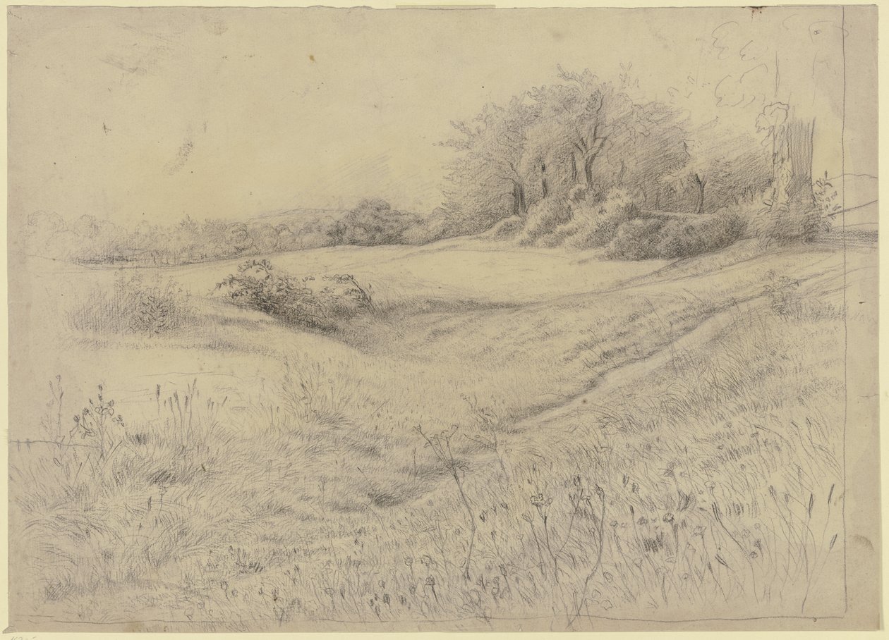 Paisaje forestal cerca de Kronberg de Otto Scholderer