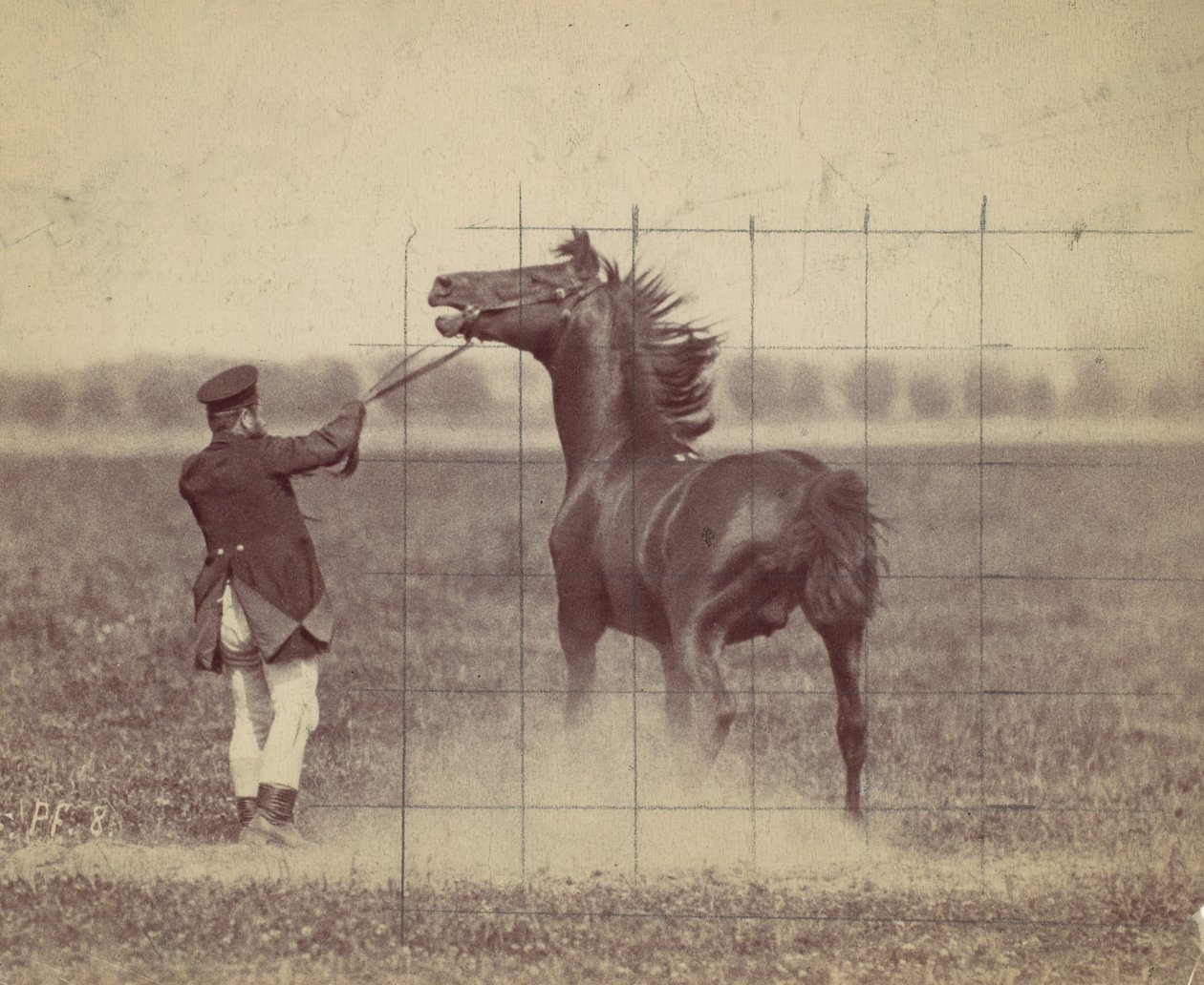 Caballo, 1884 de Ottomar Anschütz