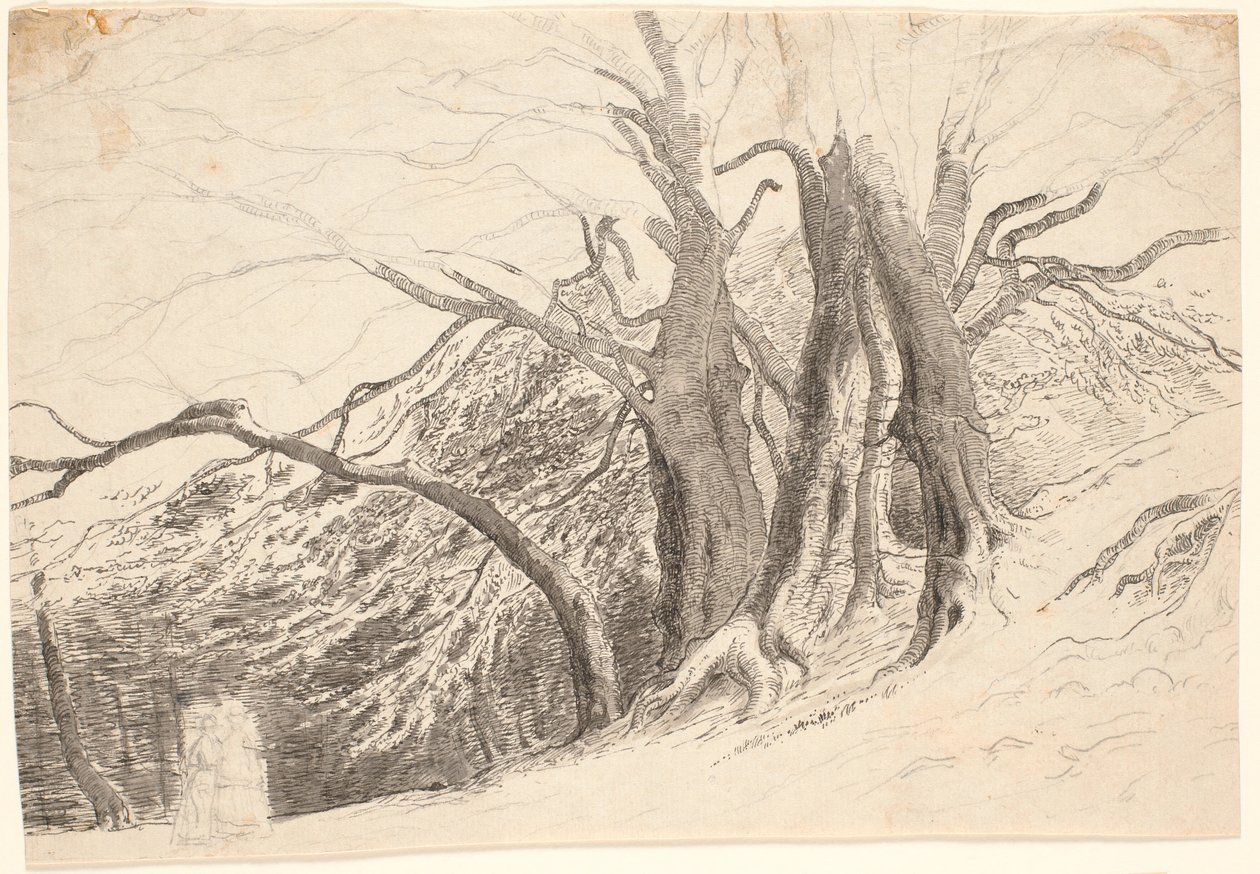 Un acantilado con grandes árboles en un bosque, con dos damas caminando de P.C. Skovgaard