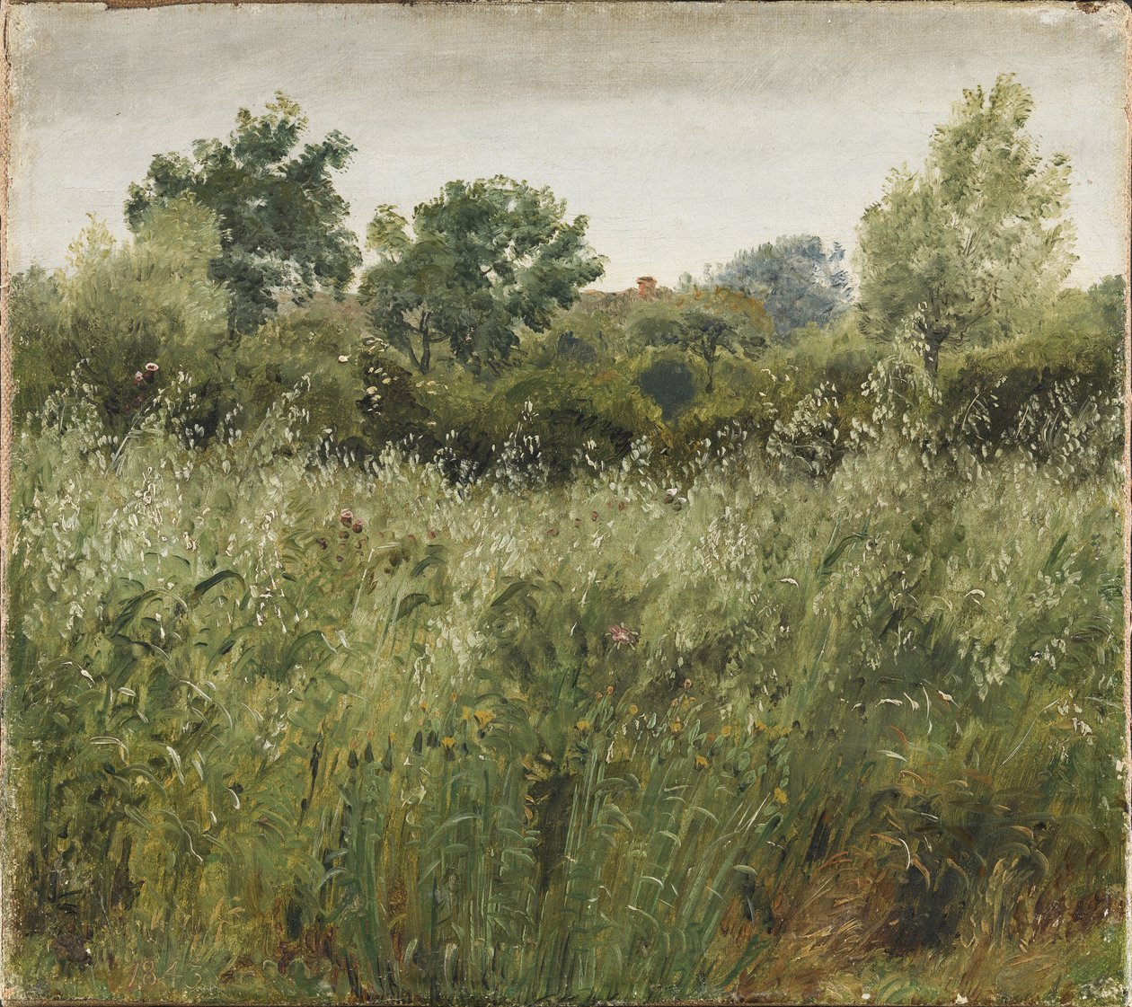 Campo de avena cerca de Vejby de P.C. Skovgaard
