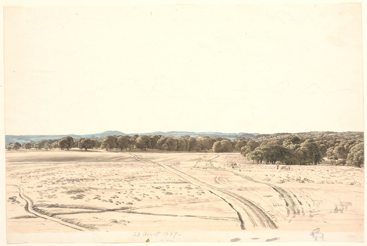 Desde la llanura de la Ermita de P.C. Skovgaard