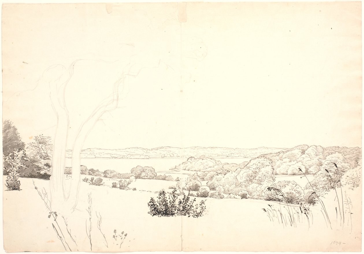 Paisaje con vista sobre el lago Skarrit de P.C. Skovgaard