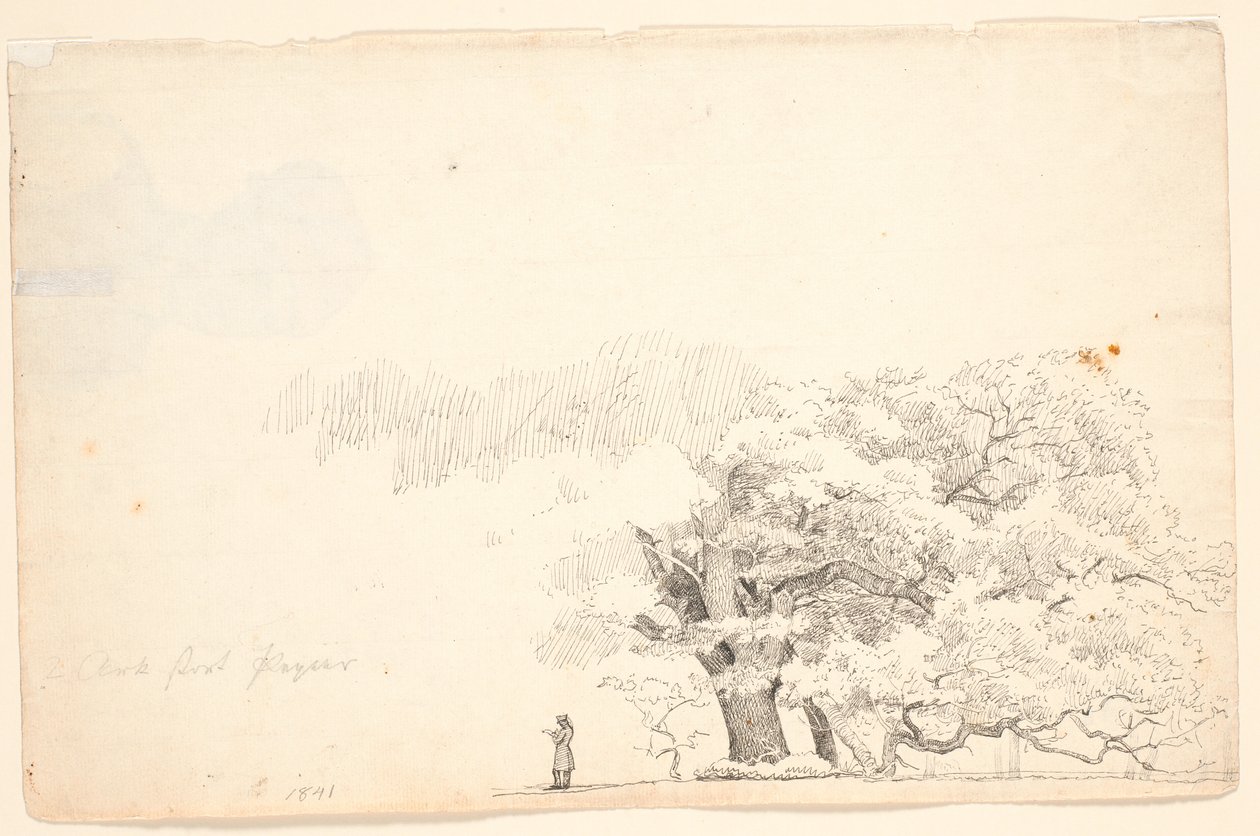 Grandes robles, a la izquierda un hombre leyendo de P.C. Skovgaard