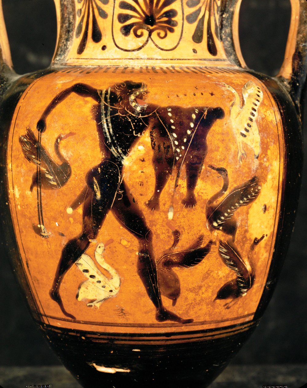 Hércules luchando contra los pájaros estífalos ... de Painter Diosphos