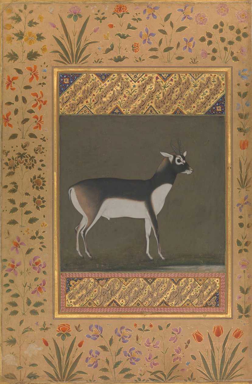 Ciervo negro, Folio del Álbum de Shah Jahan, recto: ca. 1615-20, verso: ca. 1530-50 de Painting attributed to Manohar