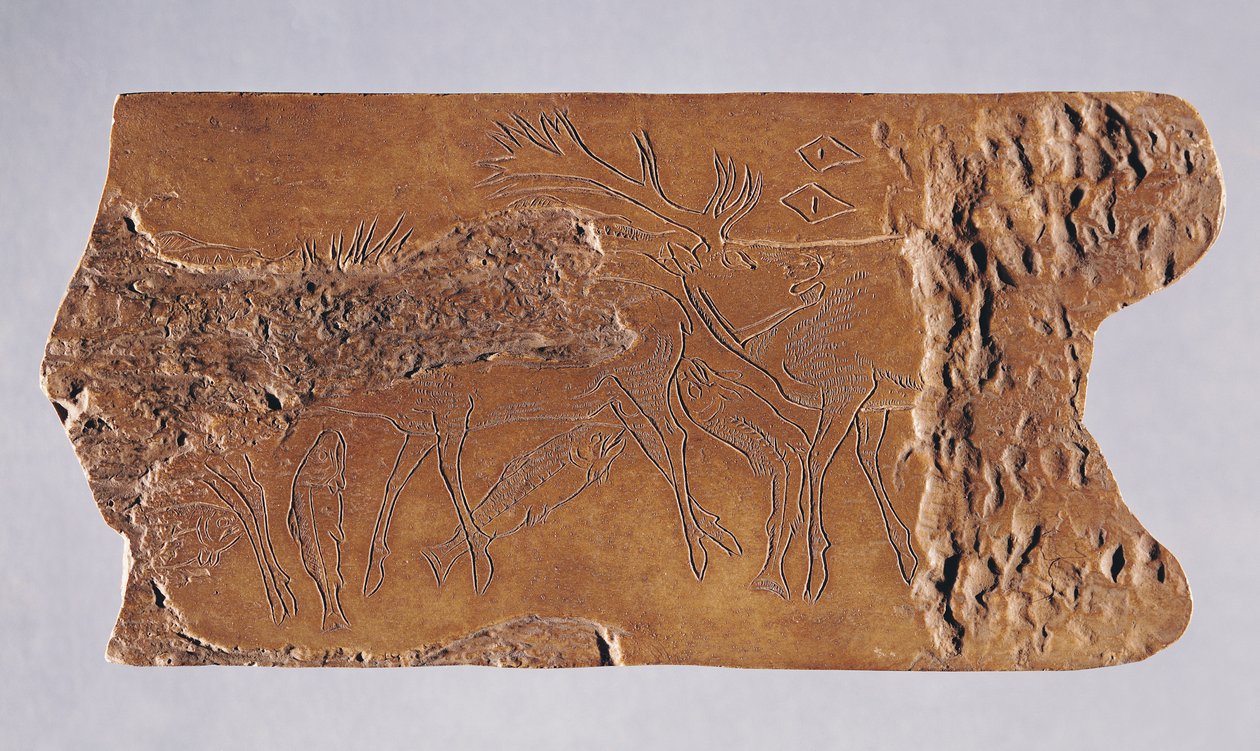 Cuerno de reno tallado con ciervos y salmones saltando, de la Grotte de Lortet, Magdaleniense, 15000-18000 a.C. de Paleolithic