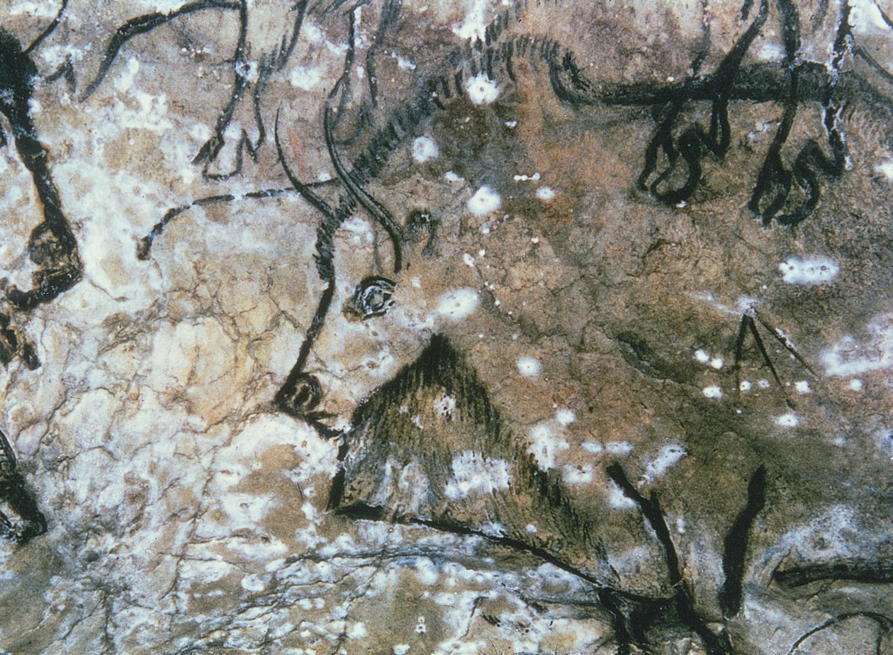 Toro herido, pintura rupestre, Magdaleniense (pintura rupestre) de Paleolithic Paleolithic