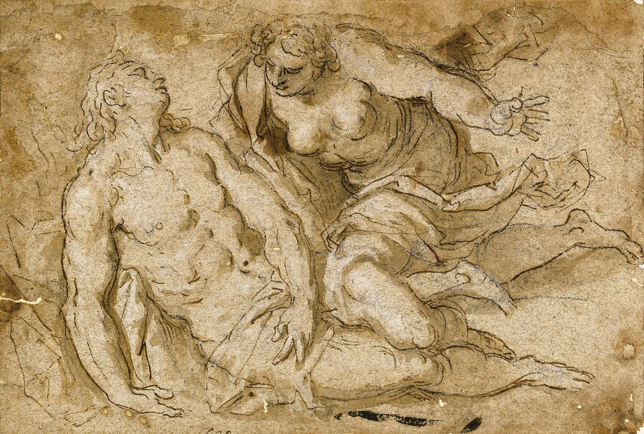 Venus descubriendo al muerto Adonis de Palma Il Giovane