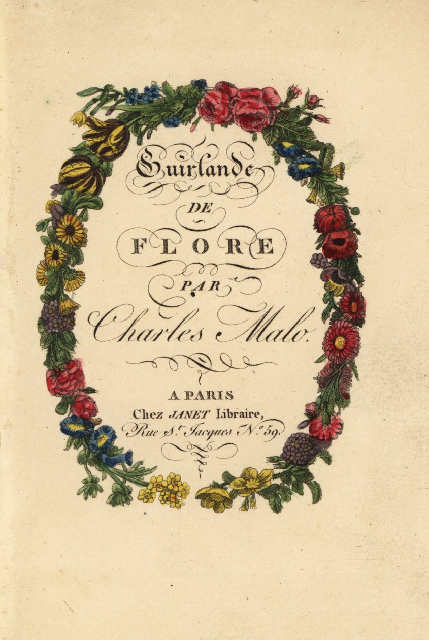 Página de título caligráfico dentro de una corona floral de rosas, tulipanes y otras flores de Pancrace (after) Bessa