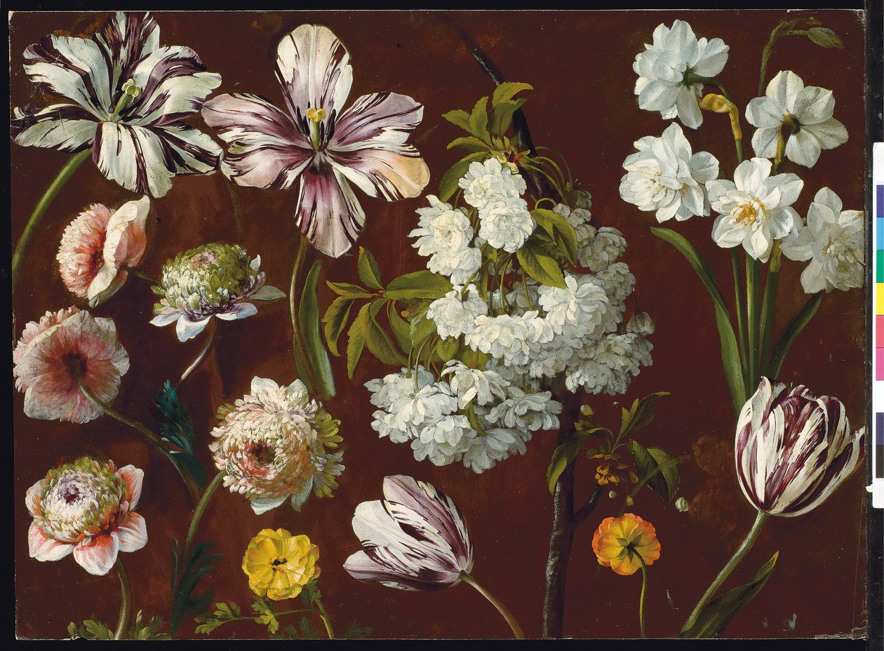 Tulipanes morados, prunus blanco floreciente, narcisos y crisantemo rosa de Pancrace Bessa