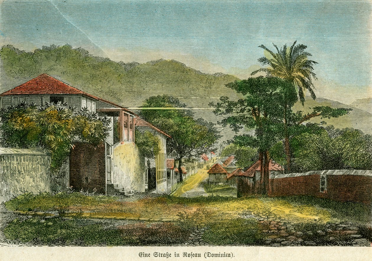 Una calle en Roseau, Dominica, c. 1880 de Pann