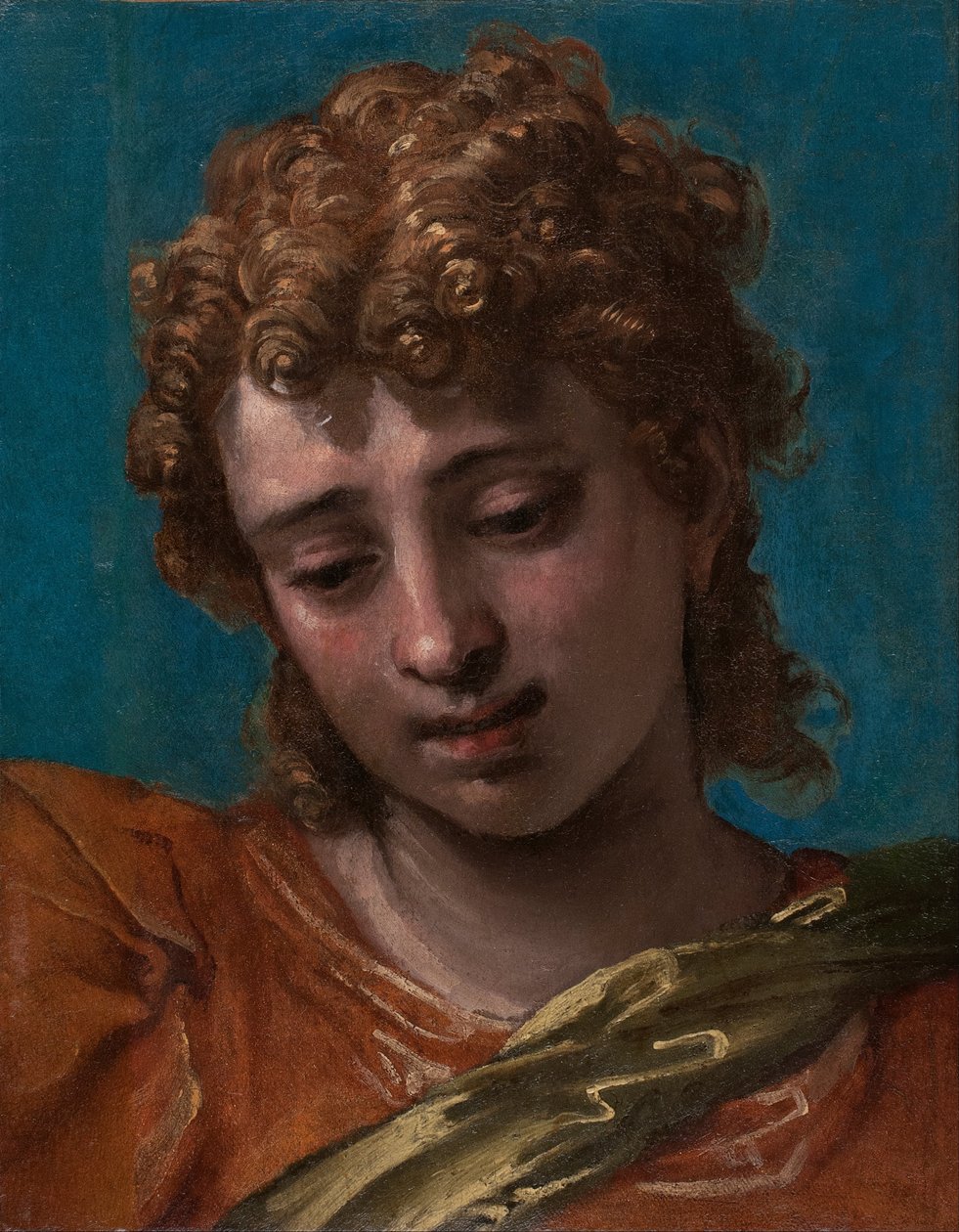 Cabeza de San Miguel, del retablo de Petrobelli de Paolo Caliari