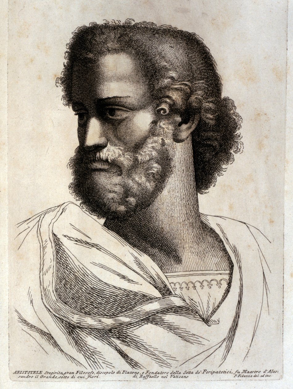 ARISTOTLE de Paolo Fidanza