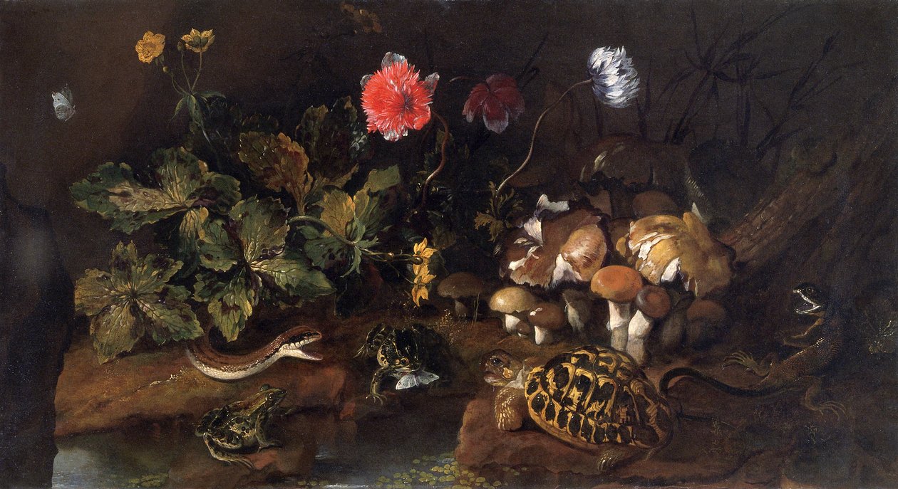 Naturaleza muerta con una serpiente, ranas, tortuga y lagarto, 1656-1673 de Paolo Porpora