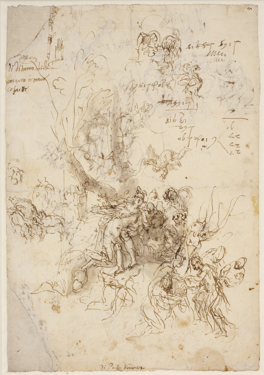 Bocetos para el nacimiento y muerte de Adonis de Paolo Veronese