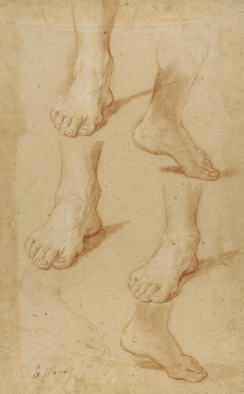 Dibujo de Paolo de Matteis