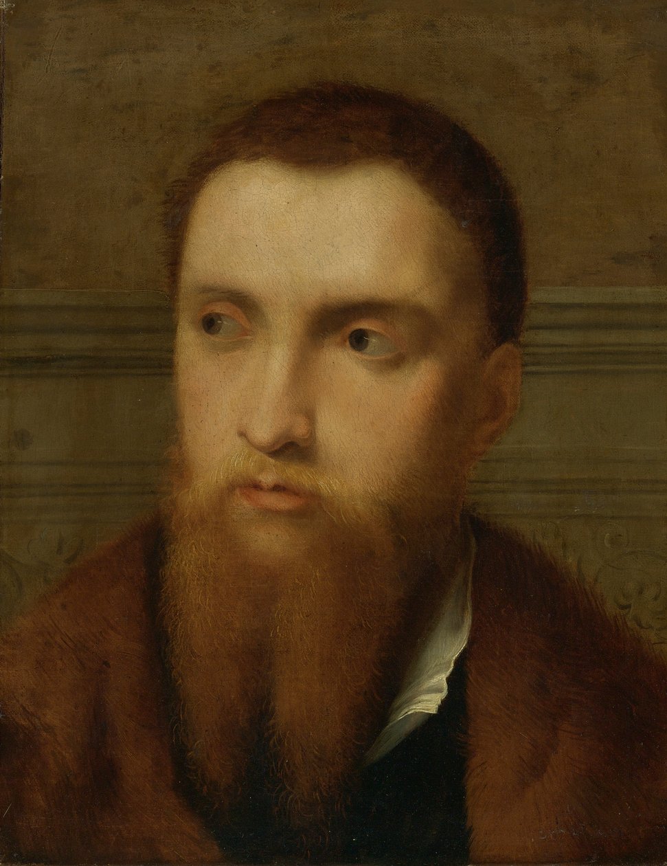 Retrato de un hombre con barba, cabeza y hombros, en un interior de Paris Bordone