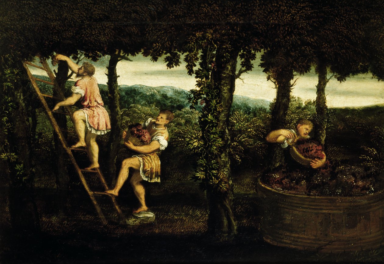 Escena de vendimia (óleo sobre lienzo) de Paris Bordone