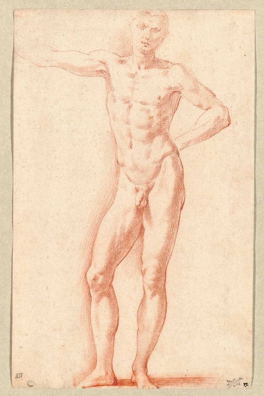 Un desnudo masculino (tiza roja) de Parmigianino (1503-40)