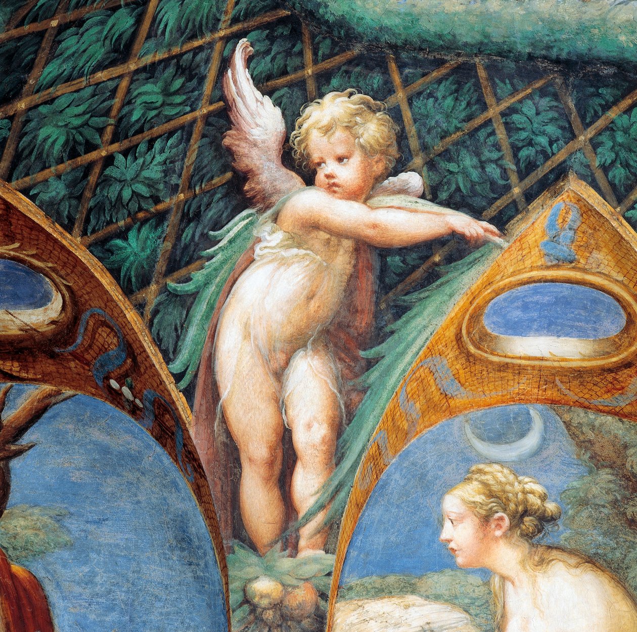 Querubín y rostro de Diana, del Mito de Diana y Acteón de Parmigianino