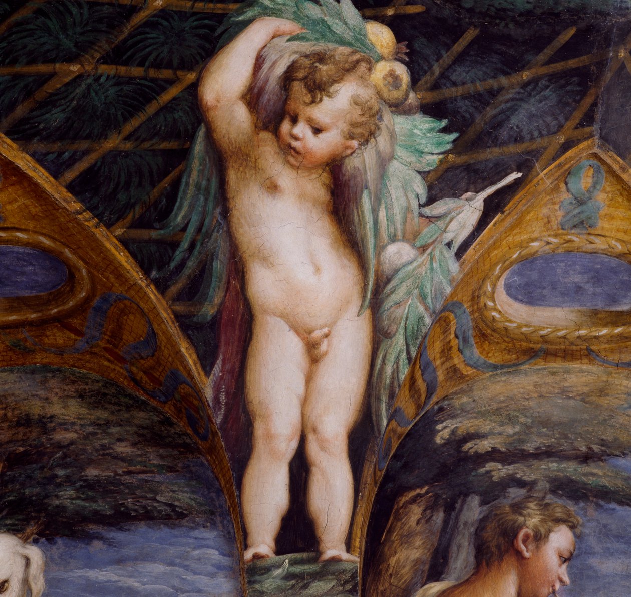 Querubín, detalle de Mito de Diana y Acteón de Parmigianino